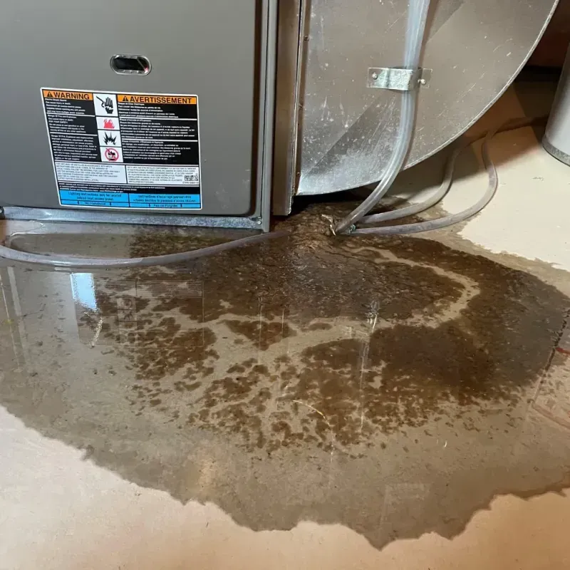 Appliance Leak Cleanup in Ogden, NC